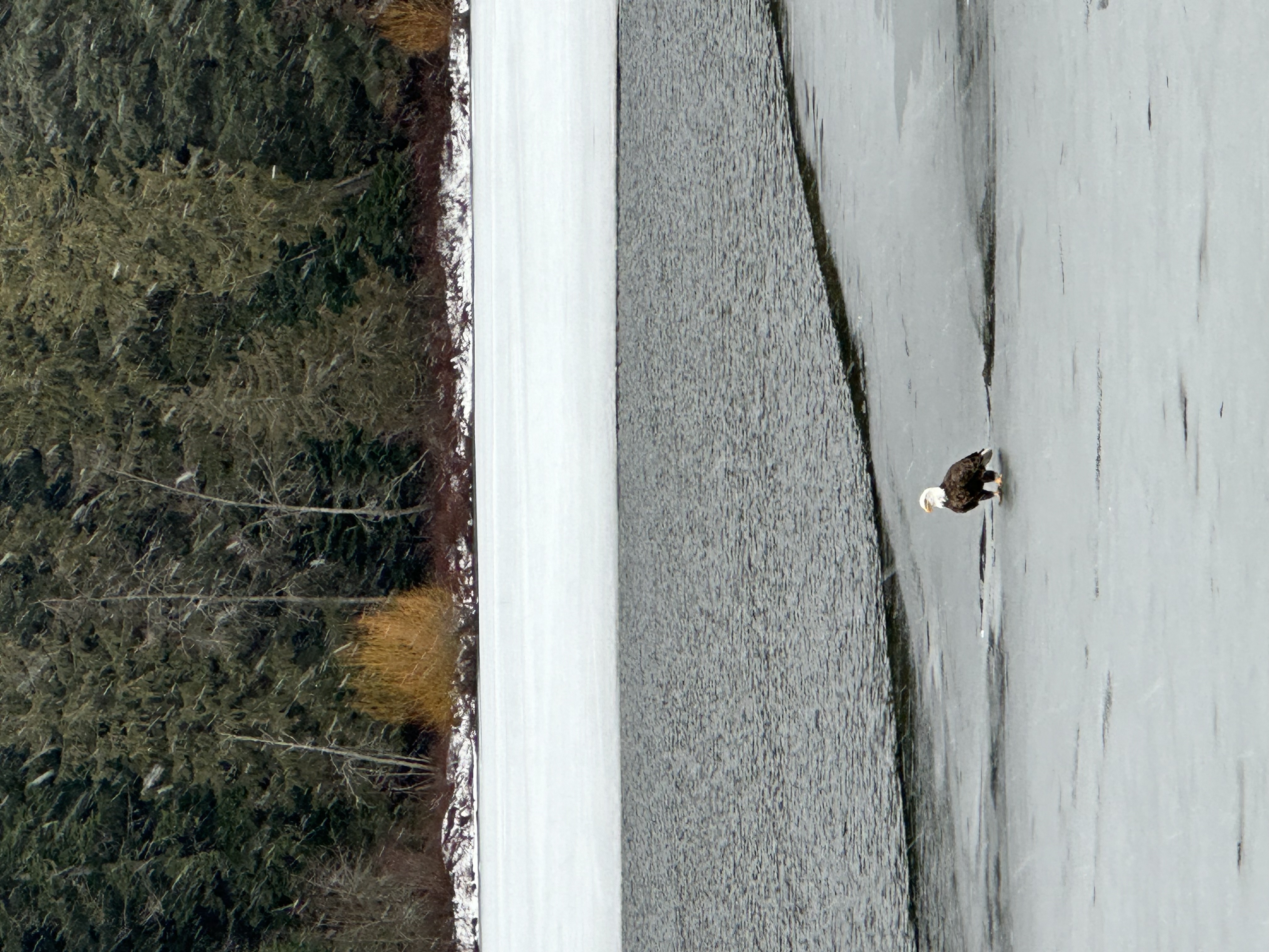 Eagle dining al fresco